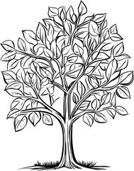 Obraz premium Elm coloring book vector design, Elm vector illustration