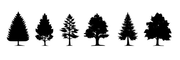 Collection of Cypresses vector icons, Cypresses vector graphics