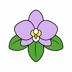 Orchid on White Background