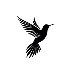 Fototapeta premium hummingbird silhouette logo vector line art logo design