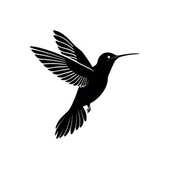 Obraz premium hummingbird silhouette logo vector line art logo design