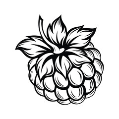 Single Black and White Raspberry with Leaves Outlined Fruit Design on White Isolated