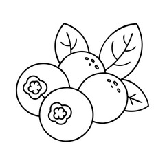 blueberries icon, blueberries line art - simple line art of blueberries, perfect for blueberries logos and icons