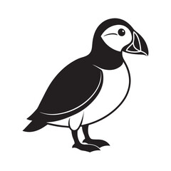Fototapeta premium Puffin Bird Vector Line Art
