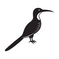 Jacamar Bird Simple Illustration