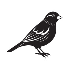 Finch Bird Outline Vector