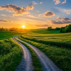 Obraz premium A winding dirt road stretches across a green field at sunset