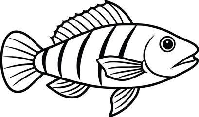 Wrasse Fish Line Art Design With White Background