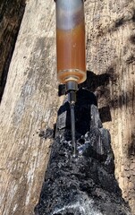 Inoculate biochar with effective microorganism