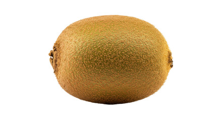 Isolated Single Kiwi Fruit