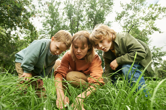 Portrait of two young boys with mother exploring nature together and looking at plants sitting in green grass outdoors