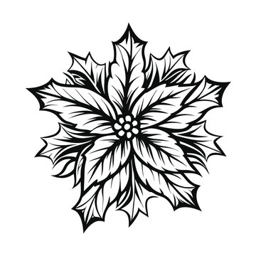 recommend clip art: Monochrome Poinsettia Flower Silhouette, Floral Outline, Black and White, Isolated Design