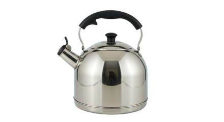Isolated Stainless Steel Kettle