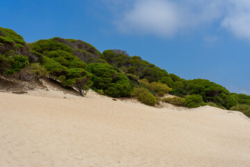 Dune of Bolonia on Atlantic ocean coast in Tarifa, Andalusia, Spain