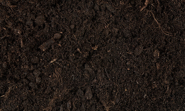 Brown fertile soil for planting as background, top view. Ecology concept. Agriculture and farming background.