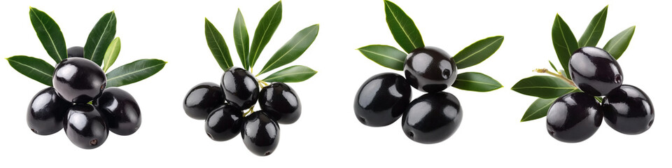 set of The black beauty of olives, the origin of black olives, the journey of black fruit, the dark color of olives, black olives, black fruit, on a transparent backgrounds