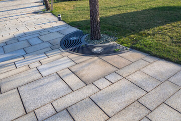 Obraz premium Sidewalk paved with tiles of different sizes with semicircular metal protective grating around tree trunk and lawn. Improvement of urban environment, modern urban environment, pedestrian path in park
