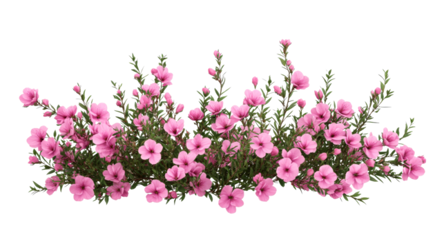 Pink flower bush with green leaves, isolated floral arrangement, cut out transparent