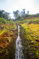 Magical Waterfall Cascading Down Lush Green Mossy Rocks in Tierradentro Archaeological Park, Cauca, Colombia