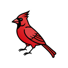 Illustration of a bright red cardinal bird perched isolated on white background on transparent background