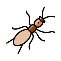 Illustration of termite insect pest control vector design for graphics use on transparent background