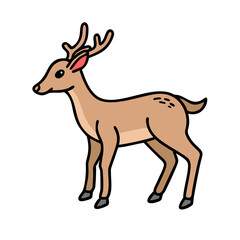 Illustration of a cute deer with antlers standing wildlife animal drawing on transparent background