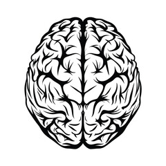 Stylized Human Brain Top View, Monochrome Anatomy Silhouette, Medical Design, Elegant