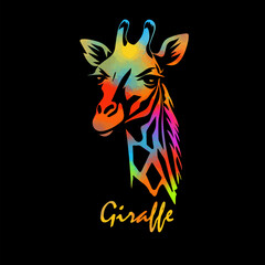 colored Giraffe head on black background. hand drawing. Not AI, Vector illustration