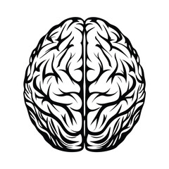 Simplified Human Brain Silhouette, Top View, Black and White, Anatomical, Intelligence