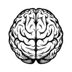 Anatomical Brain Intricate Black and White Design on Isolated Background