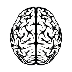 Brain Illustration, Top View, Black and White, Anatomical Design, Minimalism, Isolated