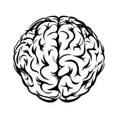Stylized Human Brain in Black and White on Clear Background Brainy Art