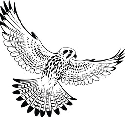 Kestrel Silhouette Set for Bird of Prey and Wildlife Designs Flying Kestrel Falcon Silhouettes for Nature and Hunting Projects
