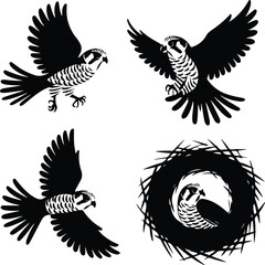Kestrel Silhouette Set for Bird of Prey and Wildlife Designs Flying Kestrel Falcon Silhouettes for Nature and Hunting Projects