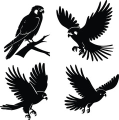 Kestrel Silhouette Set for Bird of Prey and Wildlife Designs Flying Kestrel Falcon Silhouettes for Nature and Hunting Projects