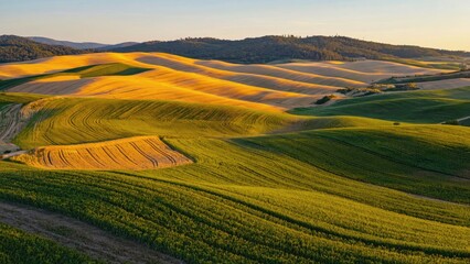 Obraz premium A serene landscape with rolling hills visible from a distance, suitable for use as a background or scenic element