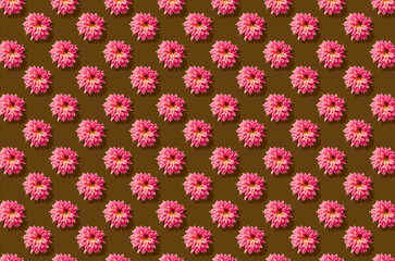 Pattern of chrysanthemum flower on red background
