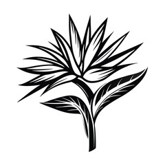 Strelitzia Royal Flower Illustration, Exotic Bloom, Tropical Floral, Black Silhouette, Isolated