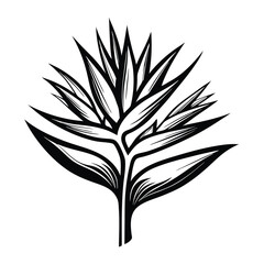 Black and White Abstract Bird of Paradise Flower, Isolated, Minimalist, Silhouette, Art