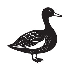 White Cheeked Pintail Bird Vector Art
