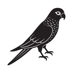 Scarlet Fronted Parakeet Bird Vector