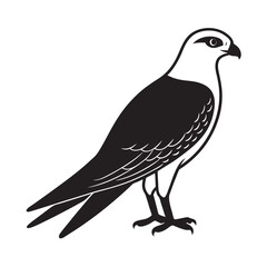 Gray Headed Kite Bird Outline Drawing