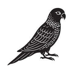 Golden Conure Bird Design