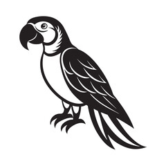 Blue and Yellow Macaw Bird Vector Design
