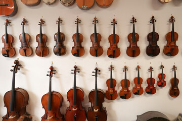 Violins of different sizes hanging on the wall White background © o1559kip