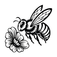 Black and White Honeybee Flying Near Flower, Detailed Stripes and Wings on White
