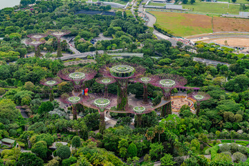 Aerial view of Singapore Supertrees Grove at the Gardens by the Bay