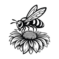 Honey Bee on Flower Silhouette, Black and White, Line Art, Honeycomb, Isolated Art