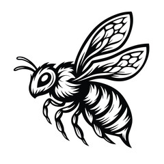 Honeybee Silhouette Flying, Black and White Illustration, Insect, Isolated, Wing Detail