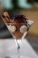 Single Scoop Chocolate Sundae
